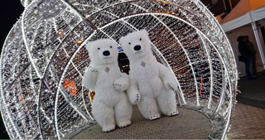 Location décorations Noël Hauts-de-France